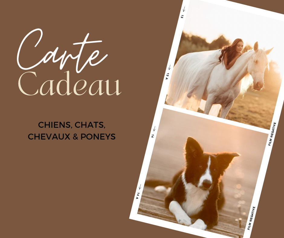 z. Offrir une Carte cadeau Séance animaux