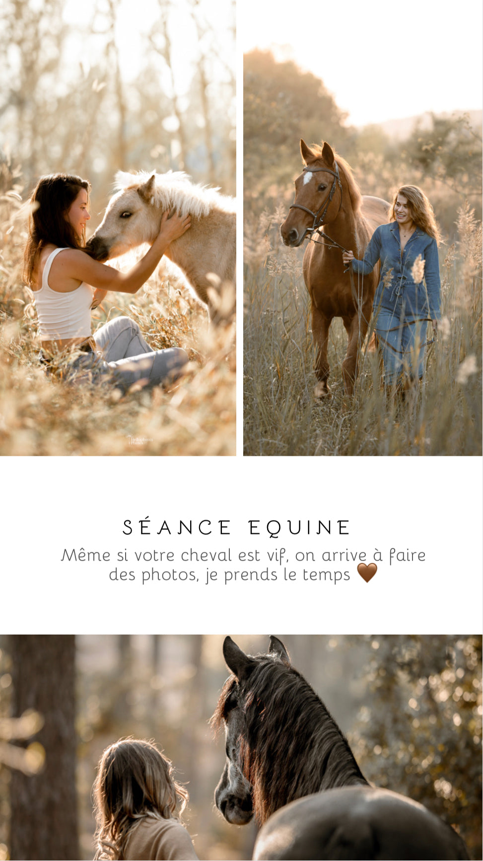 z. Offrir une Carte cadeau Séance animaux
