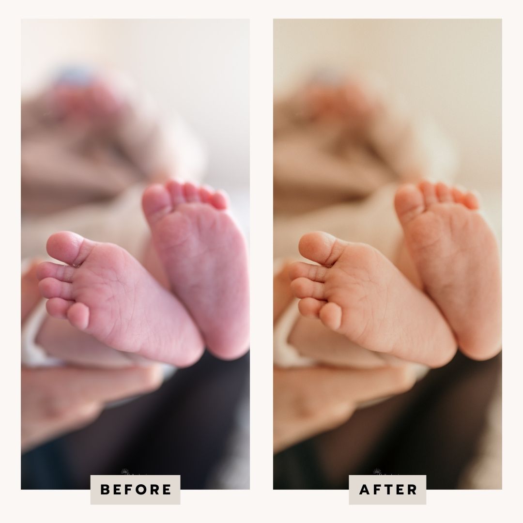 PRESETS Cocooning Pack 11 PRESETS Lightroom PC/Mobile