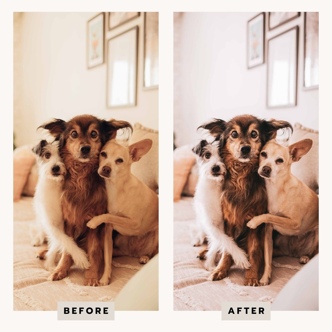 PRESETS Cocooning Pack 11 PRESETS Lightroom PC/Mobile