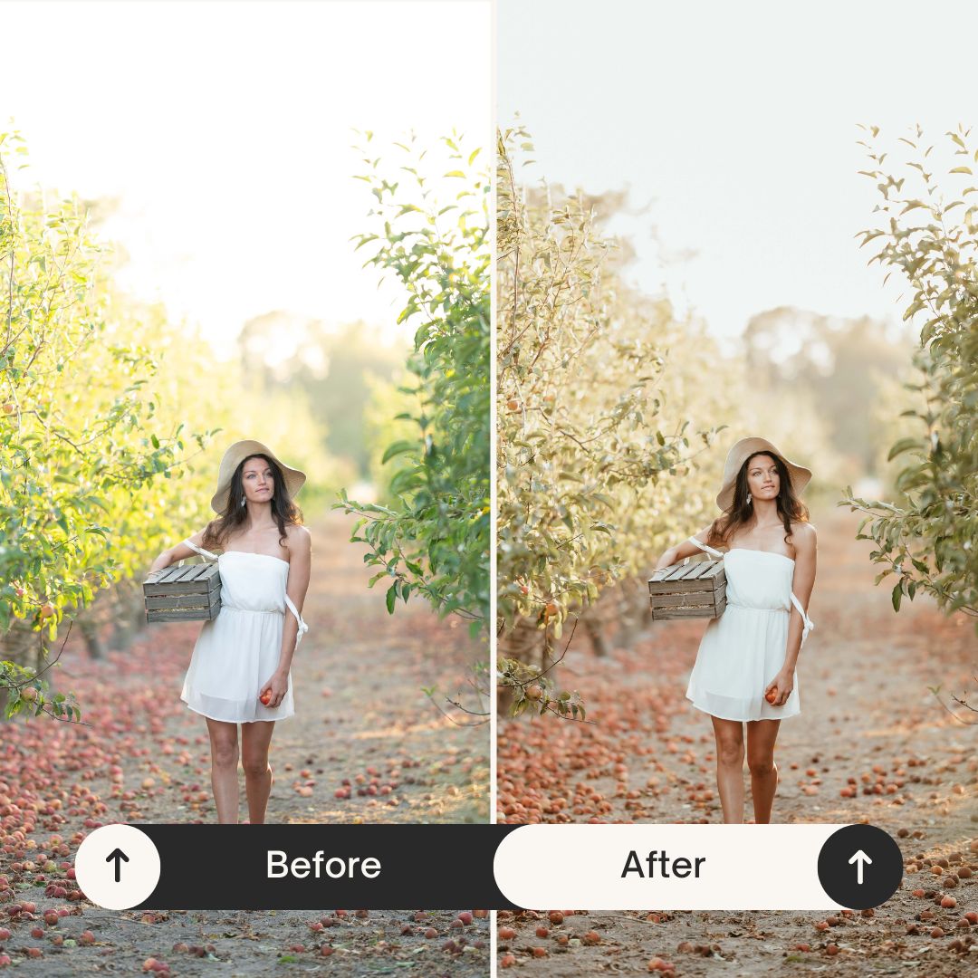 PRESETS AUTOMNE Pack 5 Lightroom PC + Mobile