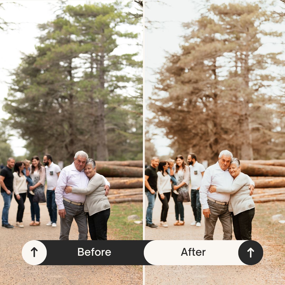 PRESETS AUTOMNE Pack 5 Lightroom PC + Mobile