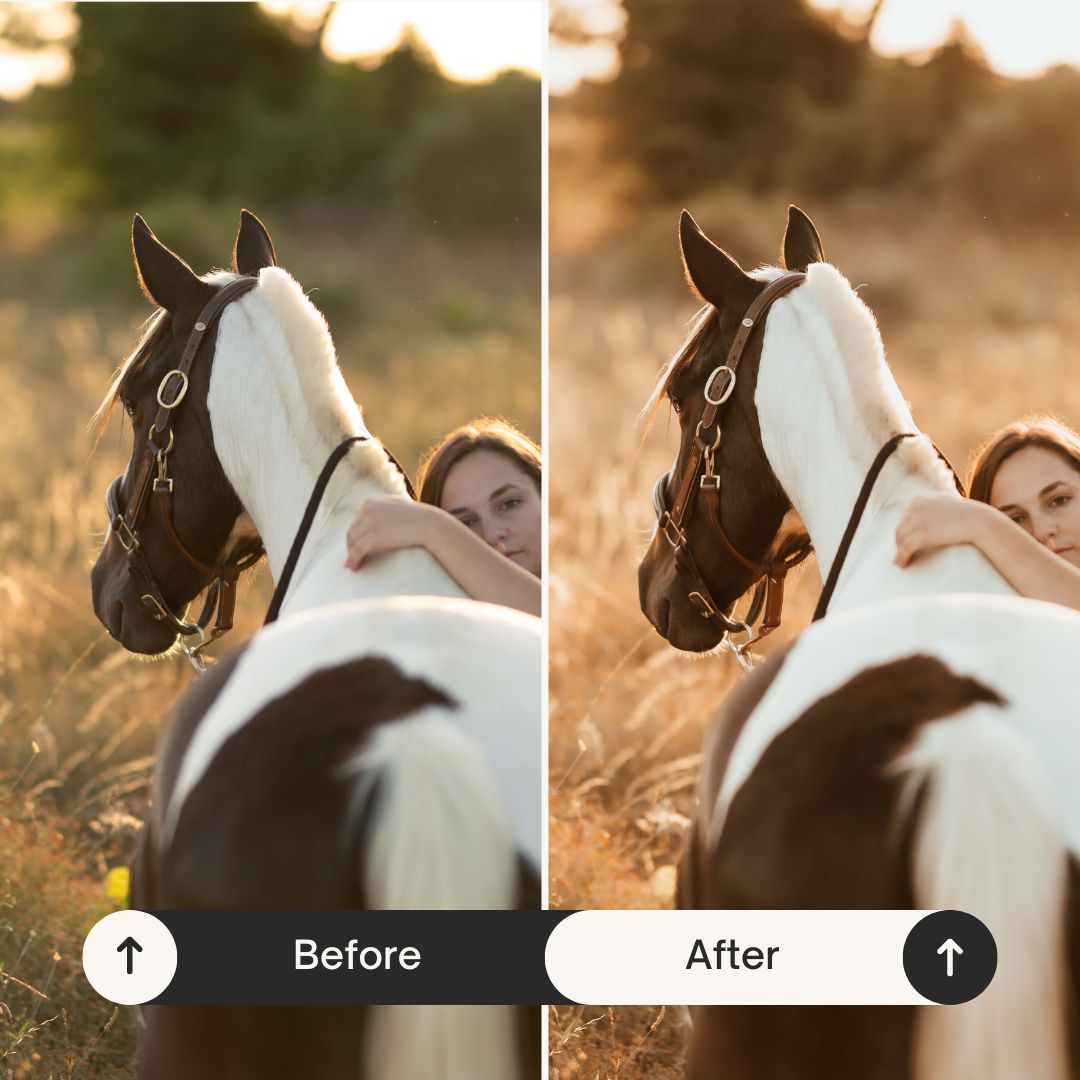 PRESETS AUTOMNE Pack 5 Lightroom PC + Mobile