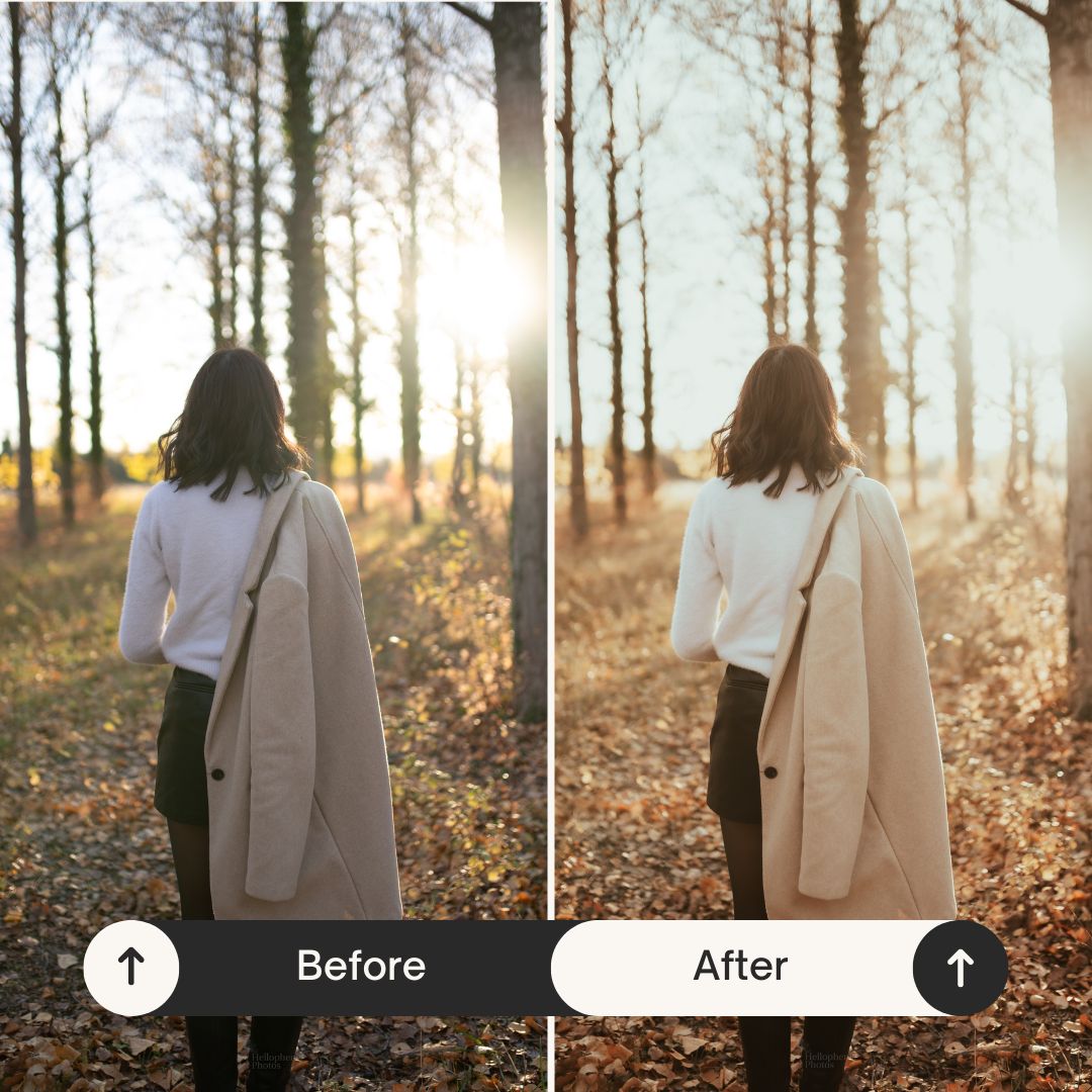 PRESETS AUTOMNE Pack 5 Lightroom PC + Mobile