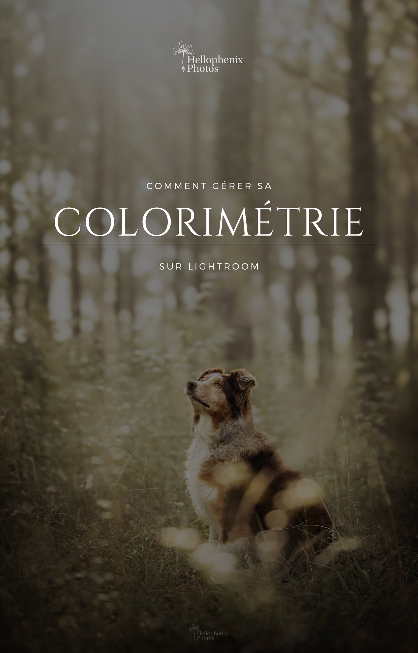Formation colorimétrie Lightroom