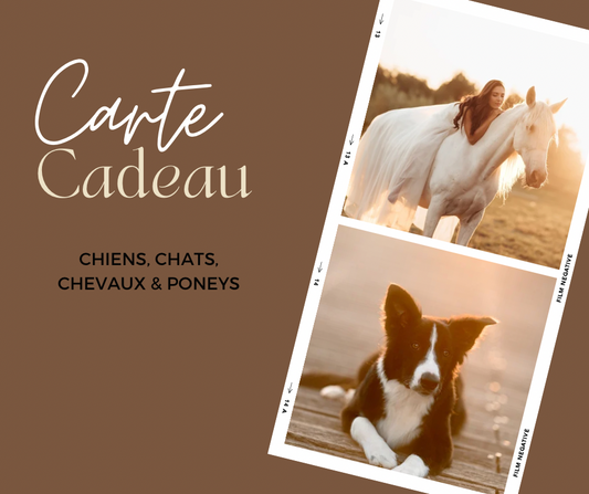 z. Offrir une Carte cadeau Séance animaux