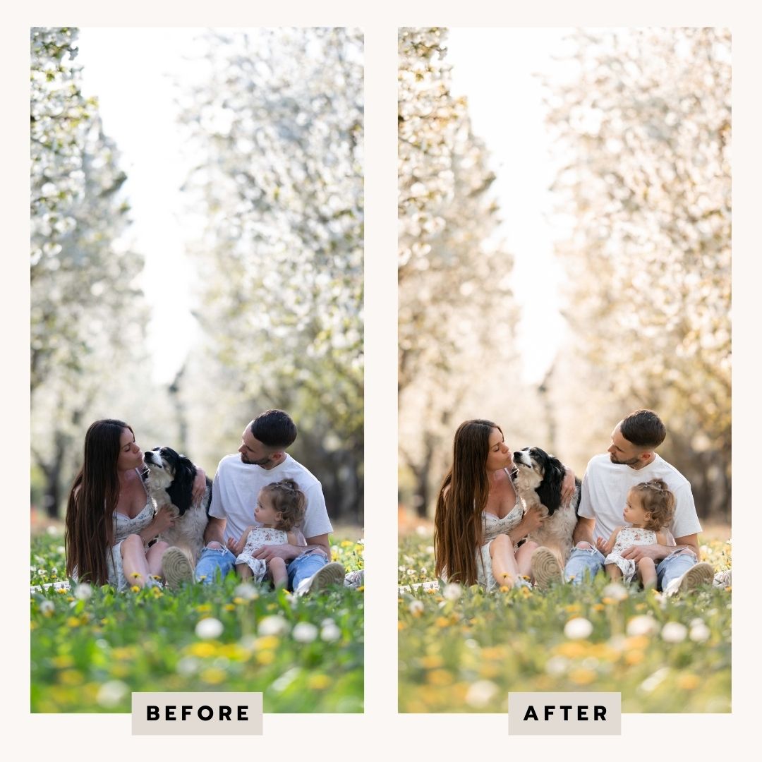 PRESETS Printemps Pack 18 PRESETS Lightroom PC/Mobile