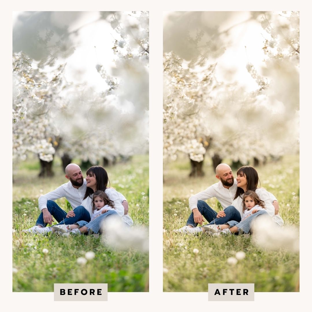 PRESETS Printemps Pack 18 PRESETS Lightroom PC/Mobile