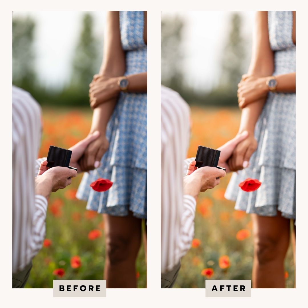 PRESETS Printemps Pack 18 PRESETS Lightroom PC/Mobile