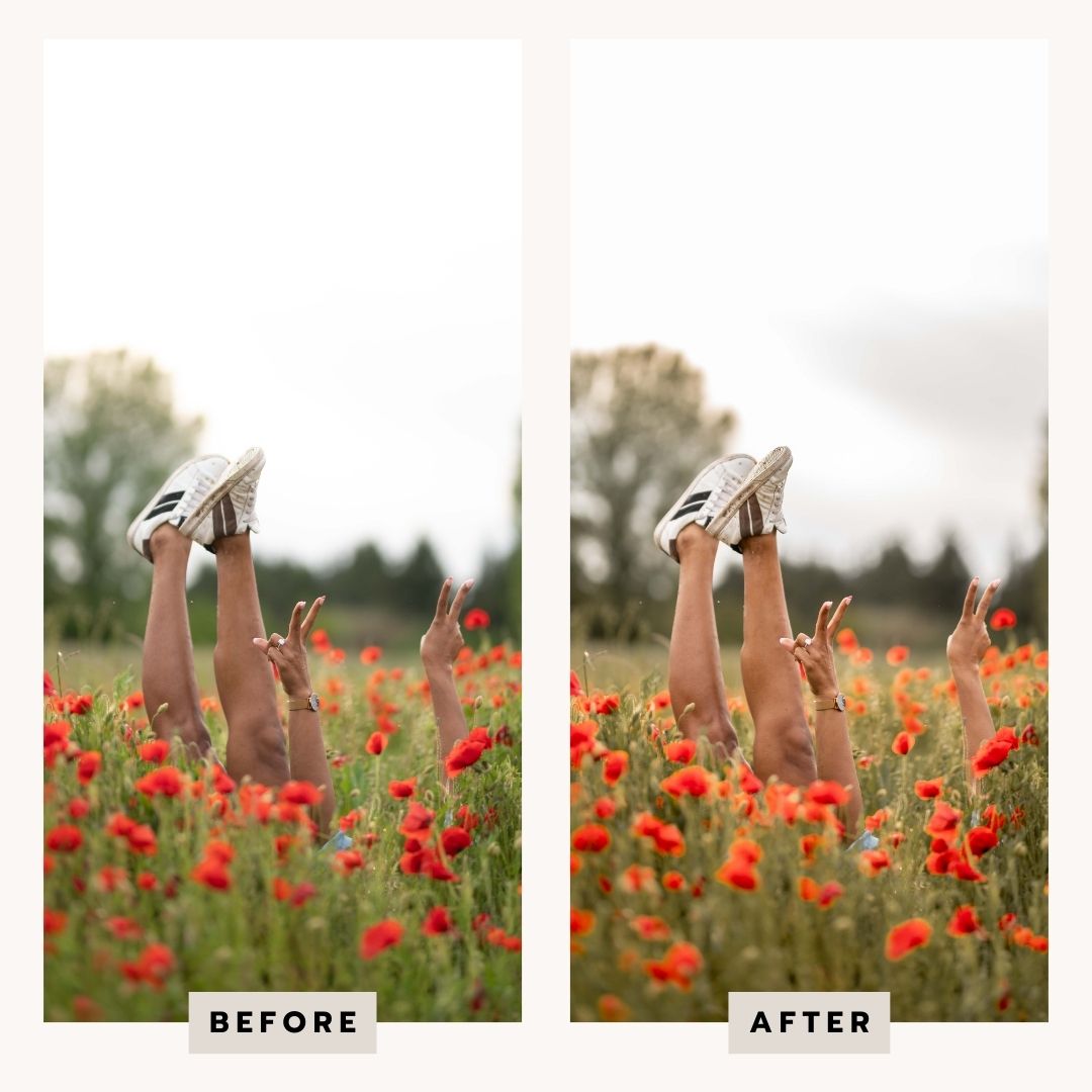 PRESETS Printemps Pack 18 PRESETS Lightroom PC/Mobile