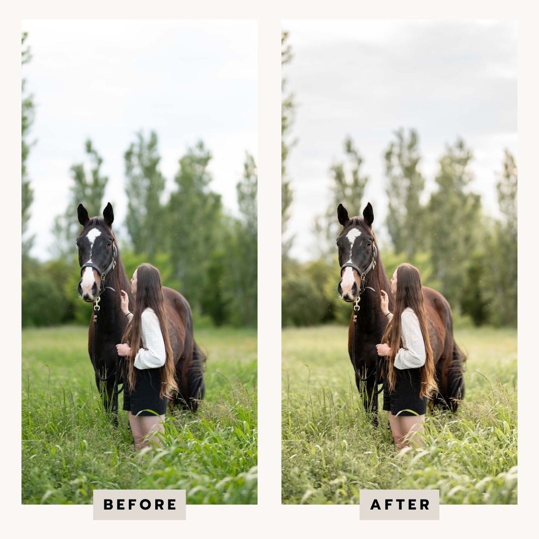 PRESETS Printemps Pack 18 PRESETS Lightroom PC/Mobile