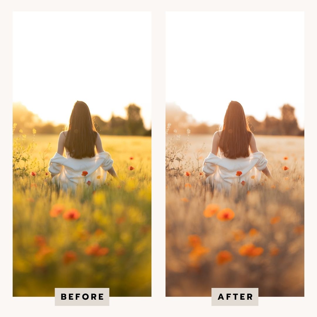 PRESETS Printemps Pack 18 PRESETS Lightroom PC/Mobile