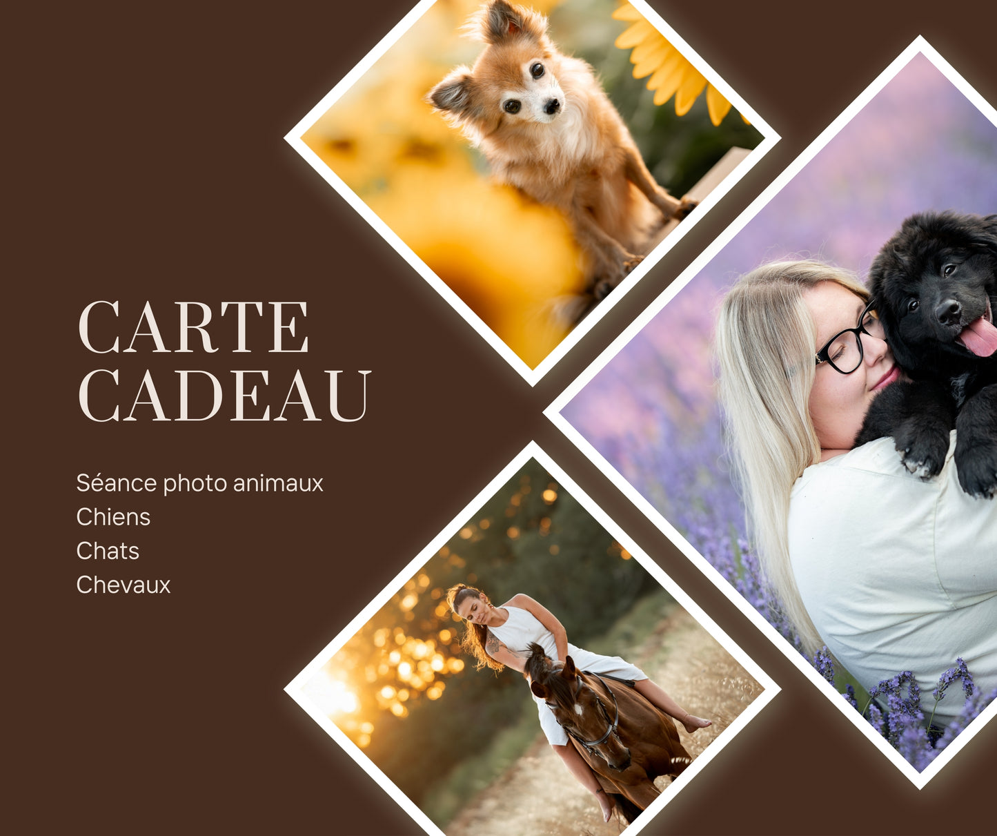 z. Offrir une Carte cadeau Séance animaux