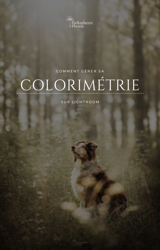 Formation colorimétrie Lightroom